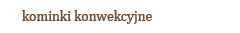kominki konwekcyjne